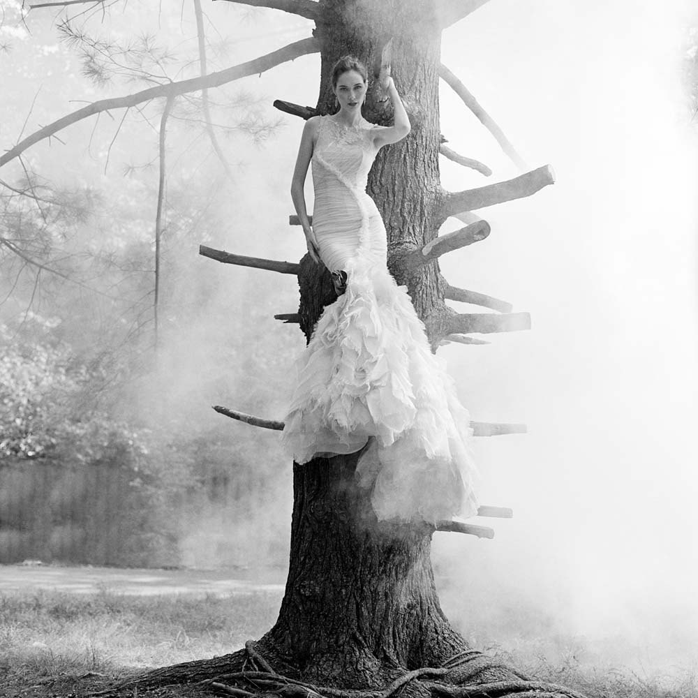 Flynn Perched in Tree, Snedens Landing, New York, 2012© Rodney Smith