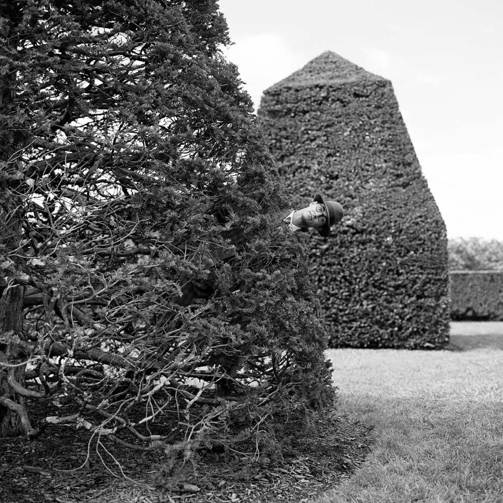 Reed Popping out from Behind Hedge, Longwood Gardens, Pennsylvania, 2013© Rodney Smith