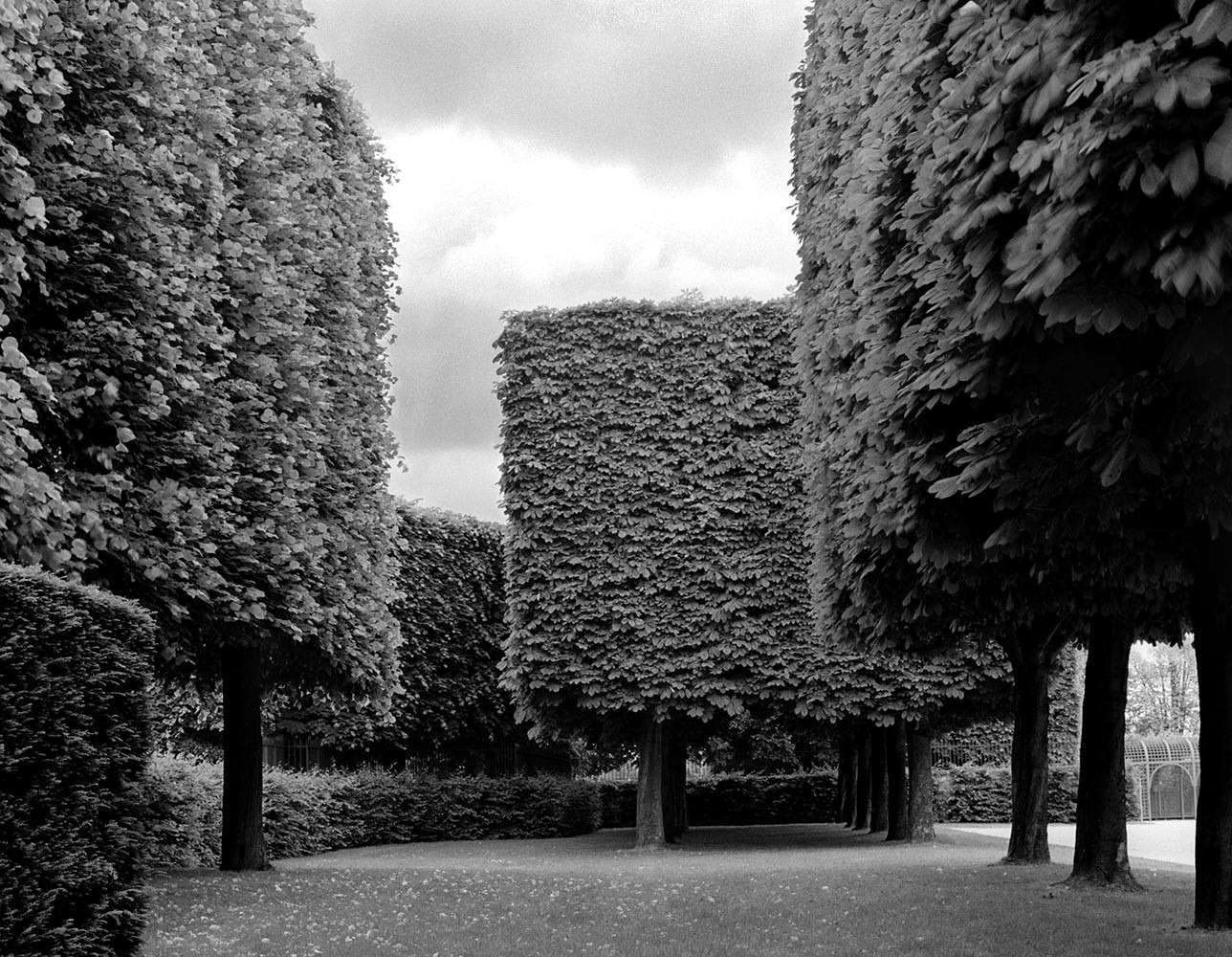 Landscape No. 1, Parc de Sceaux, France, 1995© Rodney Smith