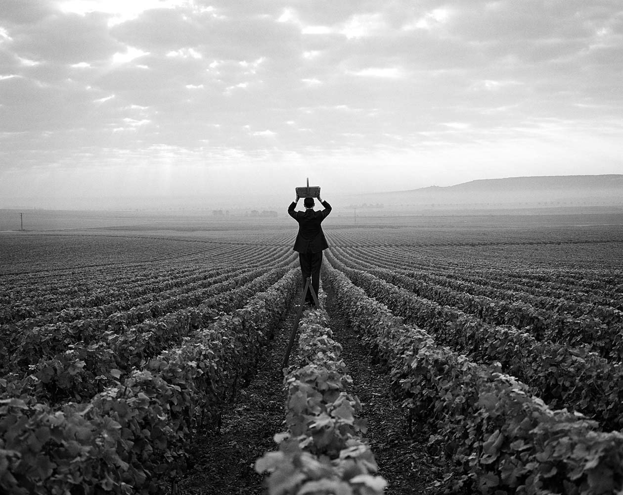 Samuel with Basket on Head in Vineyard, Reims, France, 1997© Rodney Smith