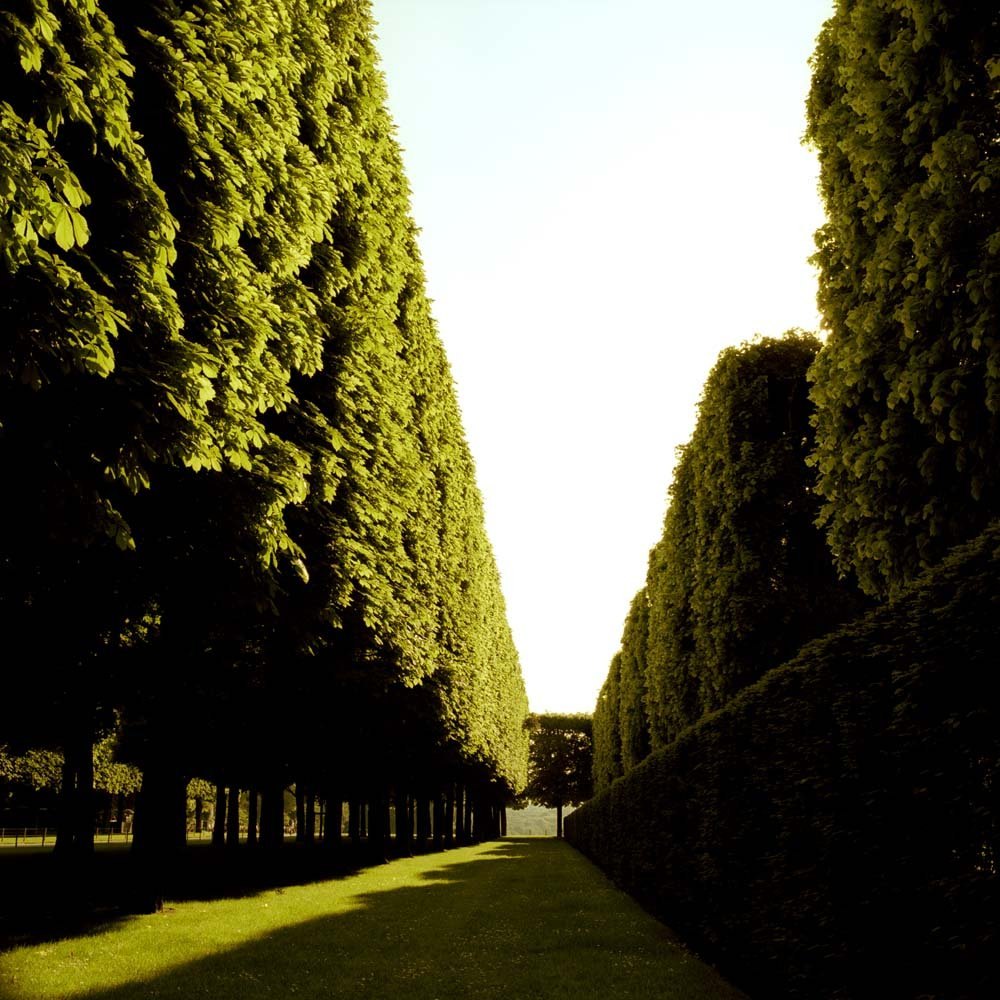 Hedges, Parc de Sceaux, Paris, France, 2004© Rodney Smith
