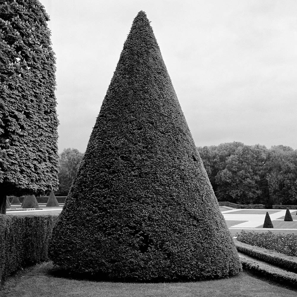 Singular Conical Topiary, Paris, France, 2007© Rodney Smith