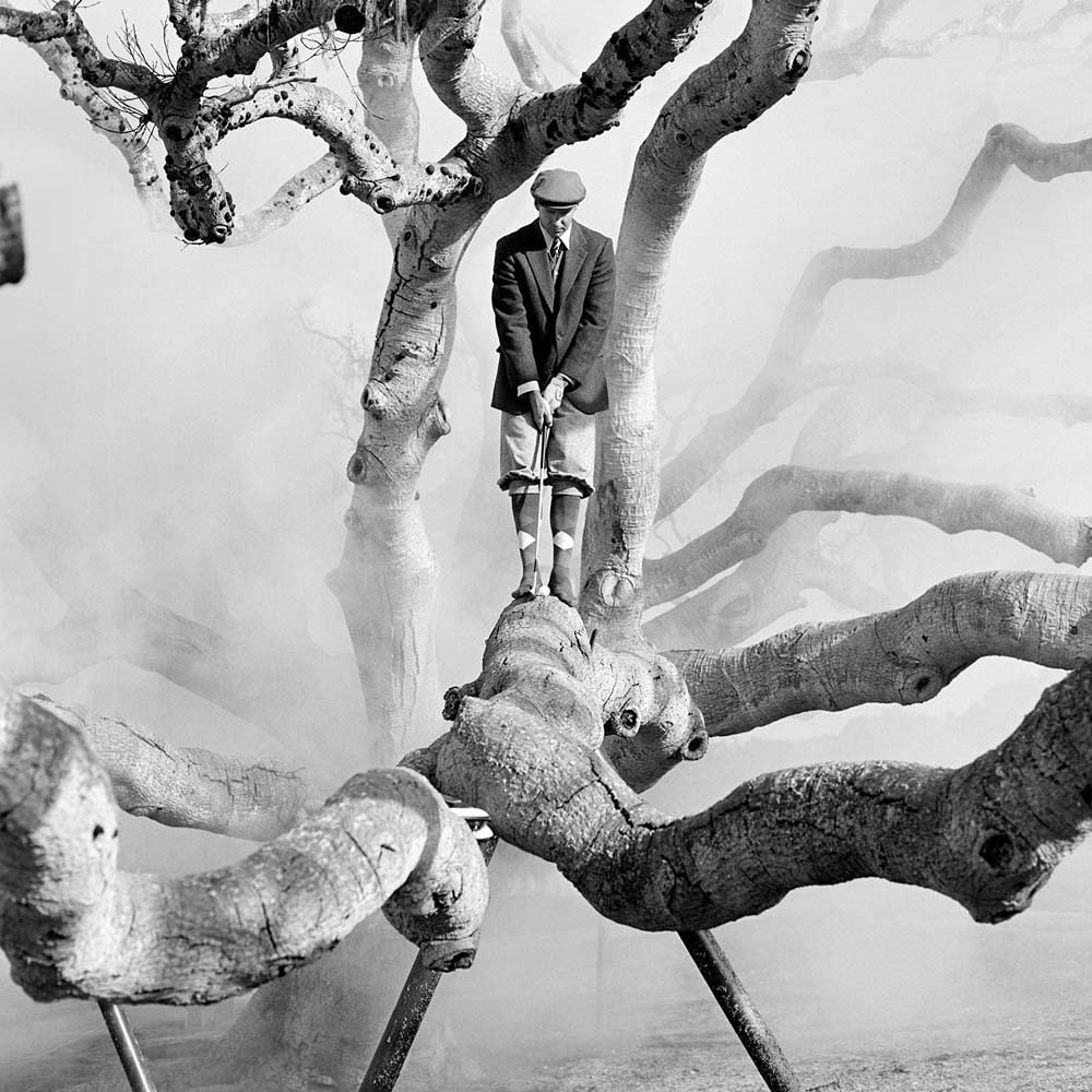 Daniel in Live Oak Tree with Fog No. 1, Pebble Beach, California, 1998© Rodney Smith